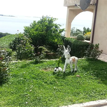 Lira Apartment *